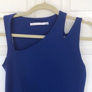 Susanna Monaco dress